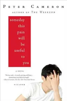 Someday This Pain Will Be Useful to You, Paperback/Peter Cameron