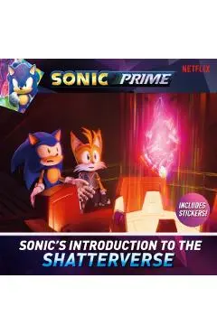 Sonic's Introduction to the Shatterverse - Kiel Phegley