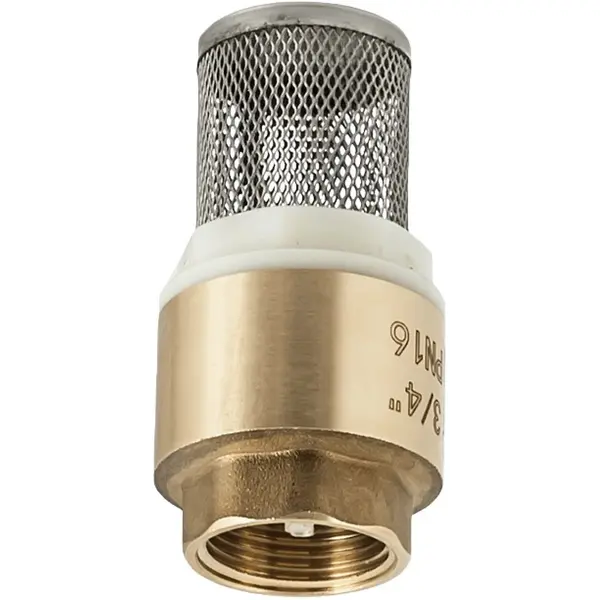 Sorb Motopompa 3 Toli (76 mm) din Alama cu Sita Inox, Filet Interior