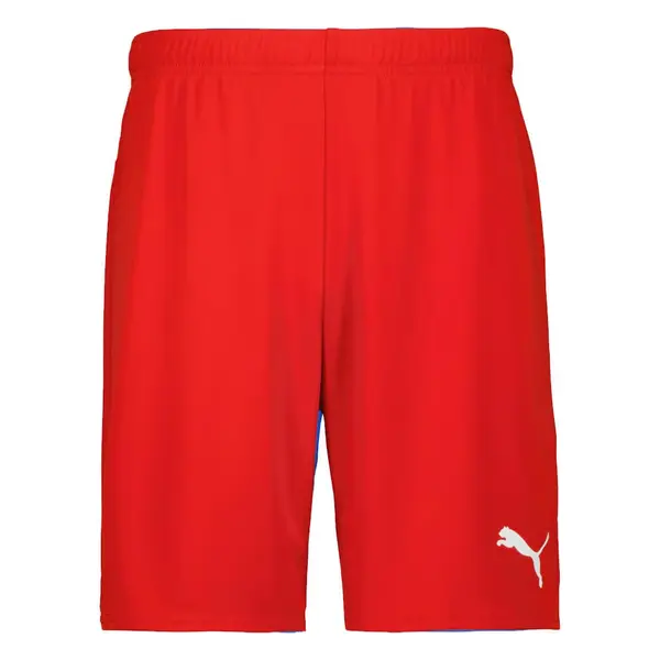 Sort Puma Team GOAL - 01 Red, M