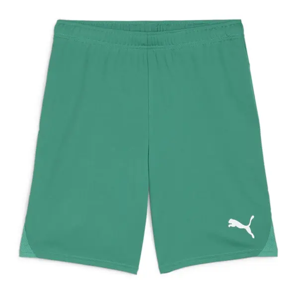 Sort Puma Team GOAL - 05 Pepper Green, S
