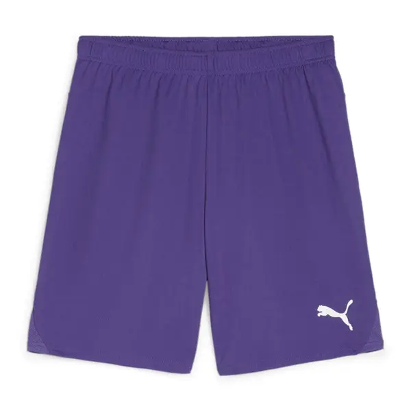 Sort Puma Team GOAL - 10 Prism Violet, XL