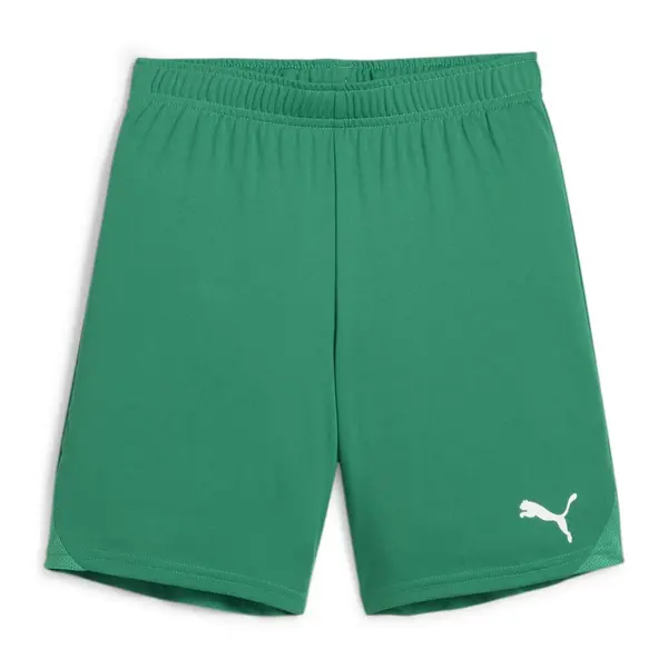 Sort Puma Team GOAL Copii - 05 Pepper Green, 152