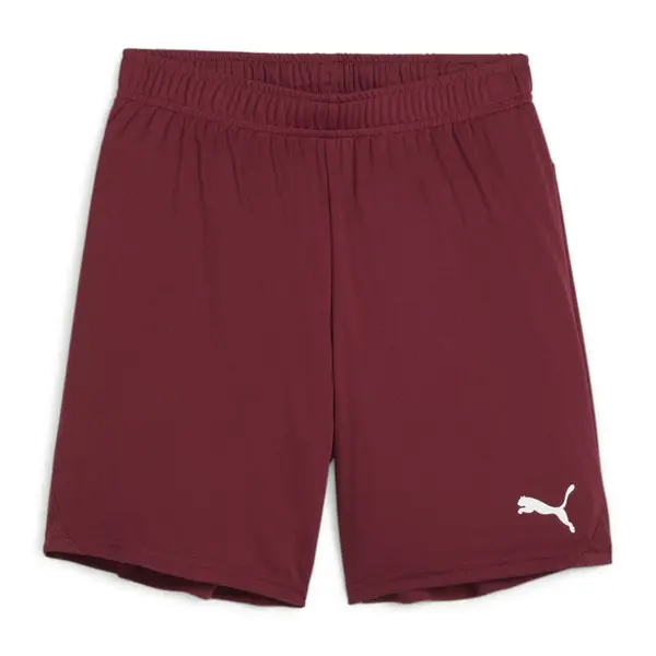 Sort Puma Team GOAL Copii - 09 Team Regal Red, 164
