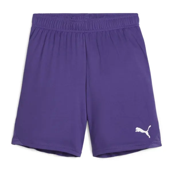Sort Puma Team GOAL Copii - 10 Prism Violet, 140