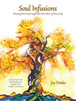 Soul Infusions: Weaving Our Soul's Light Into the Fabric of Every Day, Paperback/Joy Drake