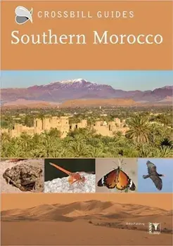 Southern Morocco, Paperback/Martin Pitt