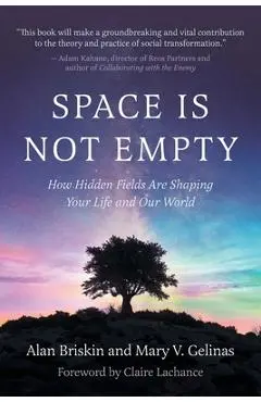 Space Is Not Empty: How Hidden Fields Are Shaping Your Life and Our World - Alan Briskin