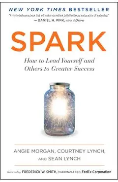 Spark: How to Lead Yourself and Others to Greater Success - Angie Morgan