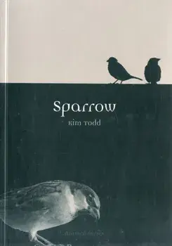 Sparrow, Paperback/Kim Todd
