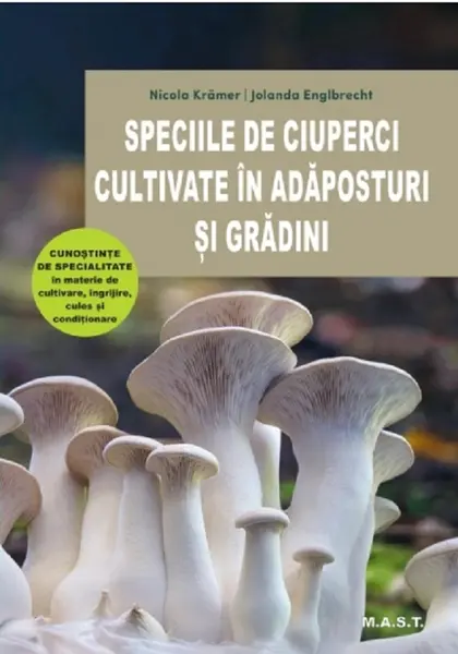 Speciile de ciuperci cultivate in adaposturi si gradini