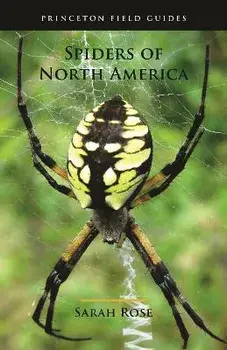 Spiders of North America, Paperback/Sarah Rose