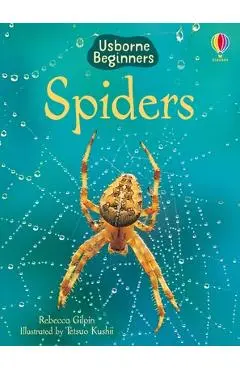 Spiders - Rebecca Gilpin