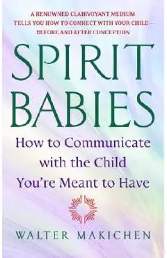 Spirit Babies: How to Communicate with the Child You're Meant to Have - Walter Makichen