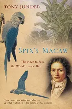 Spix's Macaw, Paperback/Tony Juniper