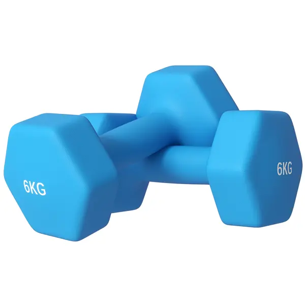 SPORTNOW Set de 2 Greutăți, Gantere Pereche cu Prindere Antiderapantă pentru Antrenament, 6 kg, 22x9x9 cm, Albastru Deschis | Aosom Romania