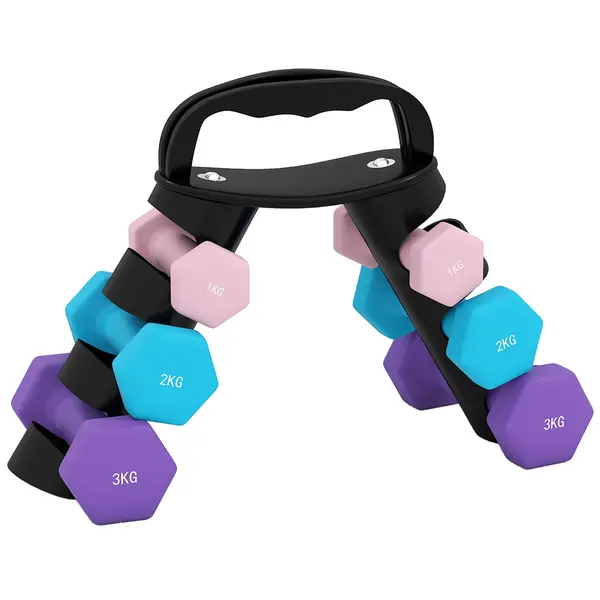 SPORTNOW Set de Gantere pentru Sală cu Suport Pliabil, 2x1 kg, 2x2 kg, 2x3 kg, Gantere Hexagonale din Metal cu Mâner, Antrenament Fitness Acasă, Roz, Albastru, Mov | Aosom Romania