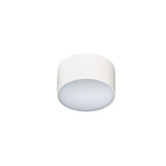 Spot aplicat CARENTES 10W - Alb / Lumina neutra 4000K