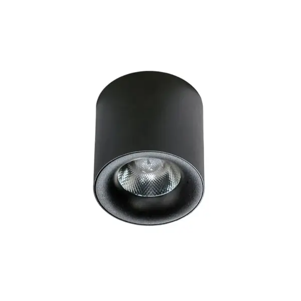 Spot aplicat dimabil MANE 30W - Negru