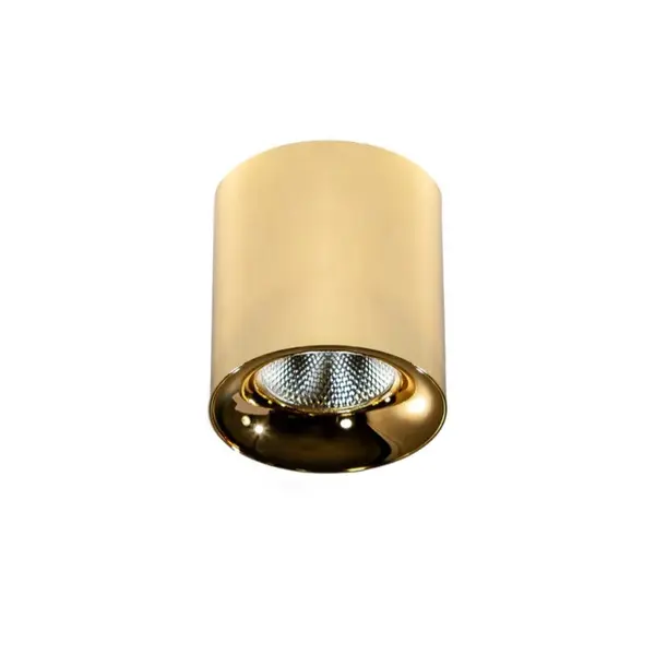 Spot aplicat MANE 10W 4000K - Gold