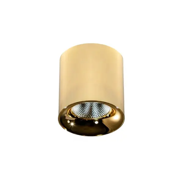 Spot aplicat MANE 30W - Gold