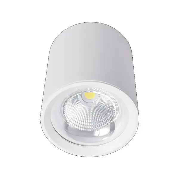 Spot aplicat MAREL 40W - Alb