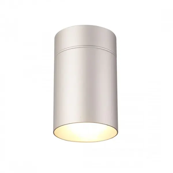 Spot aplicat MIKAELA Ø12 CM - Silver
