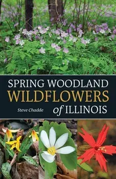 Spring Woodland Wildflowers of Illinois, Paperback/Steve Chadde