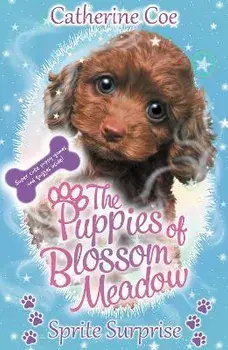 Sprite Surprise, Paperback/Catherine Coe