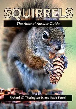 Squirrels: The Animal Answer Guide, Paperback/Richard W. Thorington