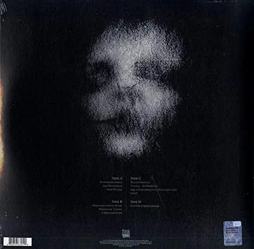 Stab Wounds - Vinyl | Dark Fortress