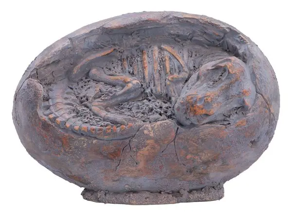 Statuetă Nemesis Now Adult: Dinosaurs - Tyrannosaurus Rex Egg, 13.3 cm