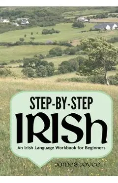 Step-by-Step Irish: An Irish Language Workbook for Beginners - James Joyce