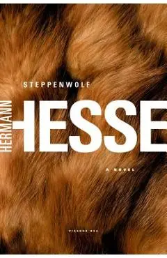 Steppenwolf - Hermann Hesse