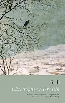 Still, Paperback/Christopher Meredith