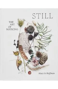 Still: The Art of Noticing - Mary Jo Hoffman