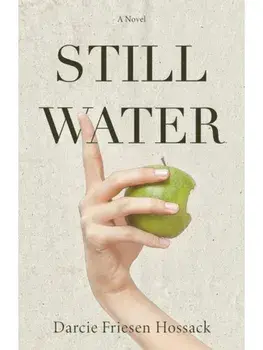 Stillwater. A Novel, Paperback/Darcie Friesen Hossack