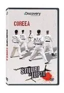 Stiluri de luptă. Coreea