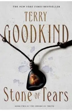 Stone of Tears: Book Two of the Sword of Truth - Terry Goodkind