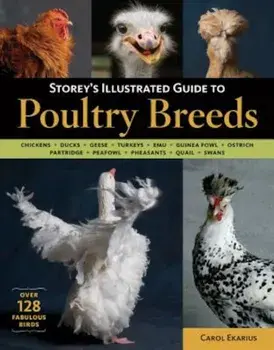 Storey's Illustrated Guide to Poultry Breeds: Chickens, Ducks, Geese, Turkeys, Emus, Guinea Fowl, Ostriches, Partridges, Peafowl, Pheasants, Quails, S, Paperback/Carol Ekarius