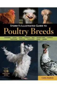 Storey's Illustrated Guide to Poultry Breeds: Chickens, Ducks, Geese, Turkeys, Emus, Guinea Fowl, Ostriches, Partridges, Peafowl, Pheasants, Quails, S - Carol Ekarius