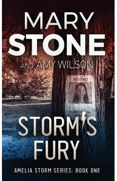Storm's Fury - Mary Stone