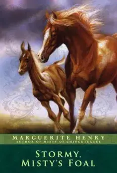 Stormy, Misty's Foal, Paperback/Marguerite Henry