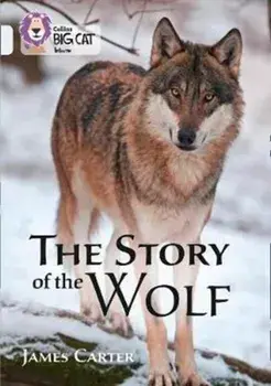 Story of the Wolf. Band 17/Diamond, Paperback/James Carter