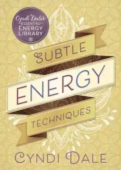 Subtle Energy Techniques, Paperback/Cyndi Dale