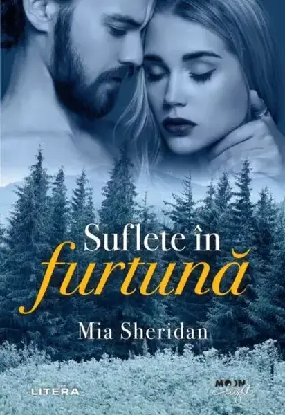 Suflete în furtună