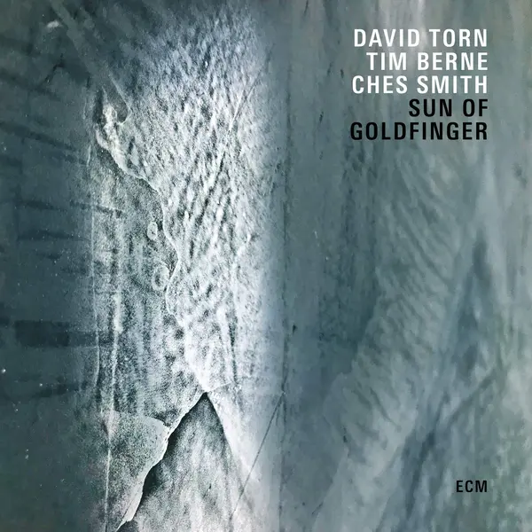 Sun Of Goldfinger | David Torn, Tim Berne, Ches Smith