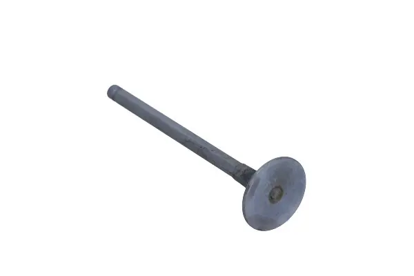 Supapa admisie FRECCIA R6136/RNT