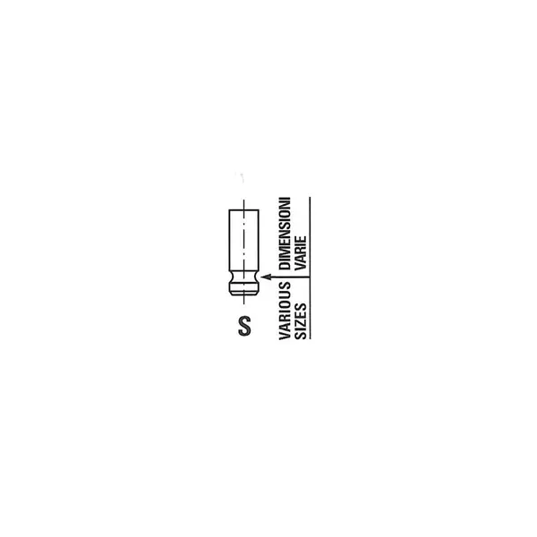 Supapa admisie FRECCIA R6700/RNT