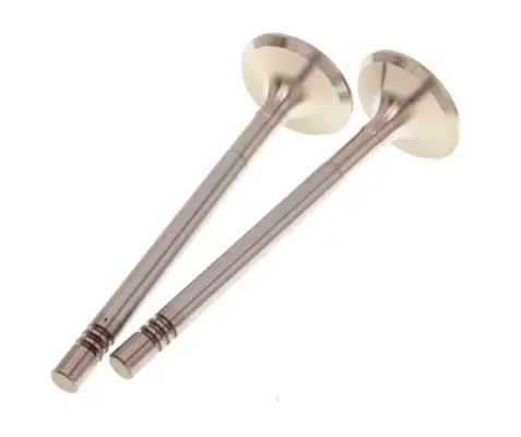 Supapa admisie TRW Engine Component 171046